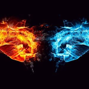 Meet your Posher, Benji